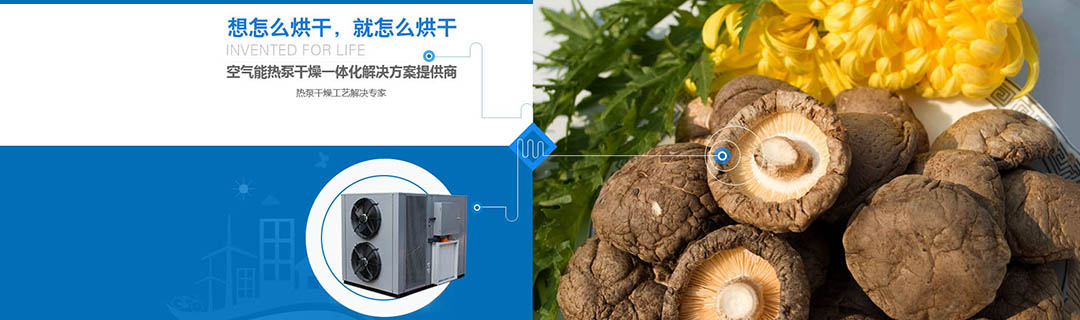 關(guān)于我們 關(guān)于我們