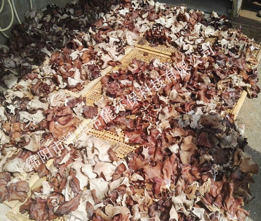 四川蔬菜烘干機