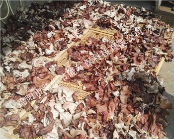 四川蔬菜烘干機公司（靖華）案例展示