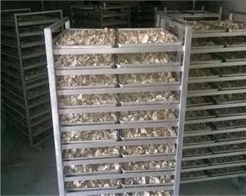 綿陽市靖化節能環保科技官網正式升級成功