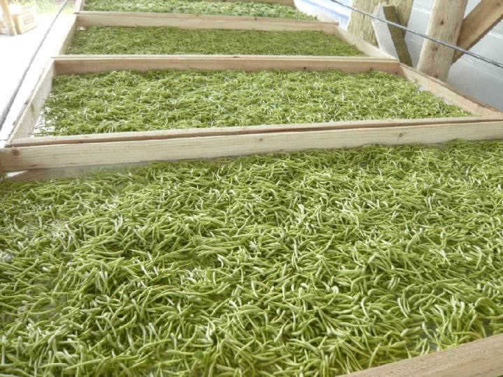 四川花卉烘干機 四川花卉烘干機