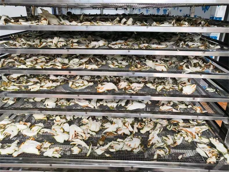 佛手片烘干 佛手片烘干