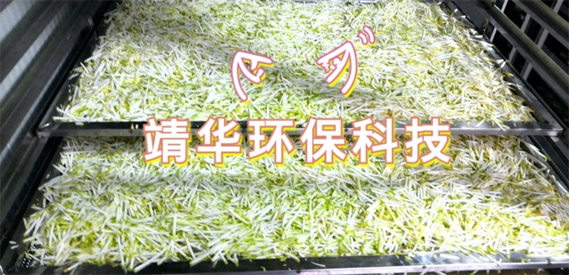 佛手茶絲烘干 佛手茶絲烘干