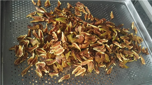 四川果蔬烘干機